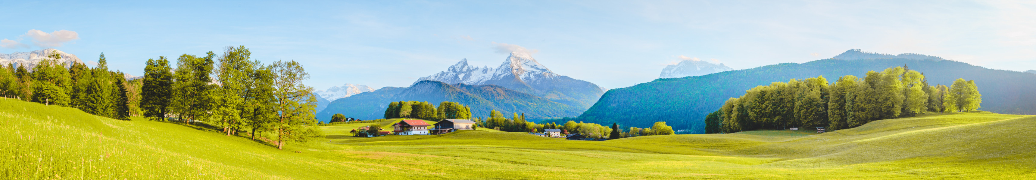 Berchtesgadener Land mit Wiesen, B&auml;umen und Bergen im Hintergrund.