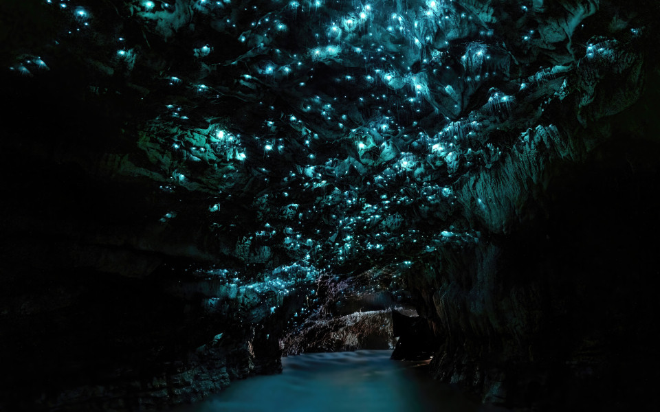 Waitomo Glowworm Caves, Waikato, Neuseeland Nordinsel.